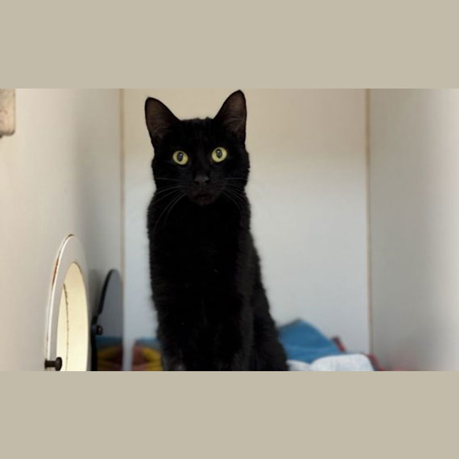 Photo of Lucifer
