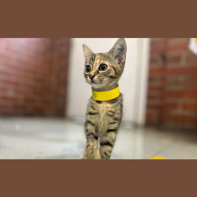 Photo of Winnie