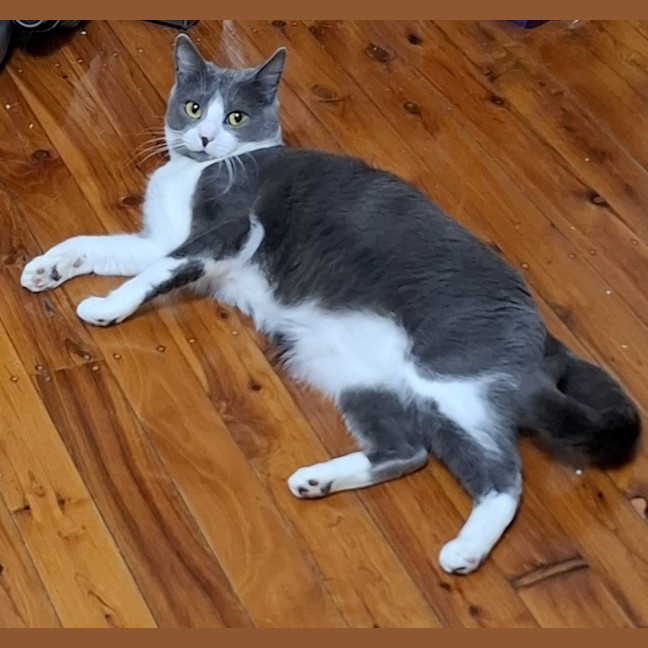 Photo of Athos