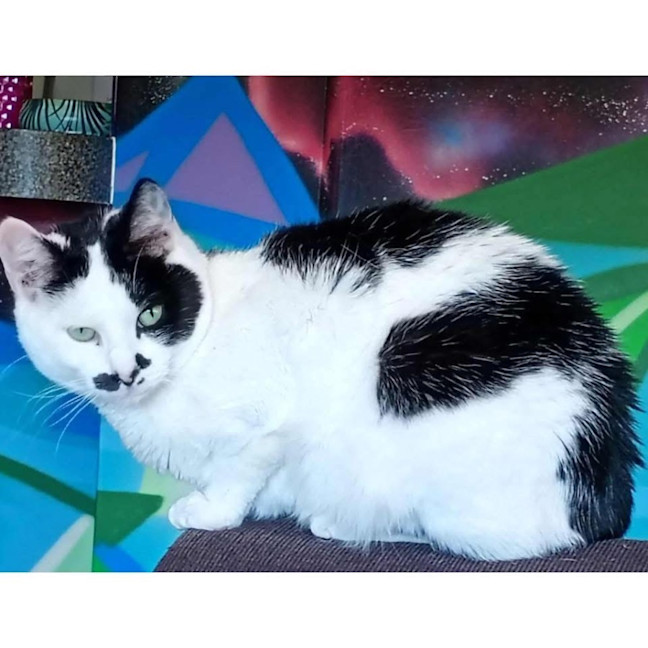 Photo of 5187   Misty