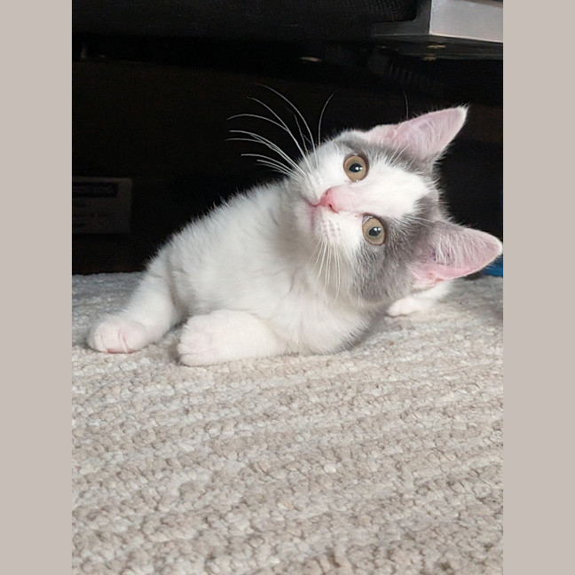 Photo of Charlotte