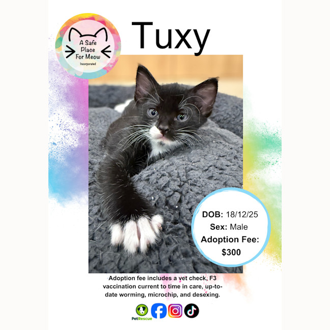 Photo of Tuxy