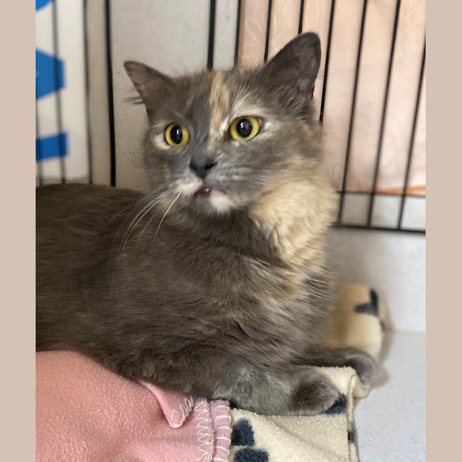 Photo of Winnifred