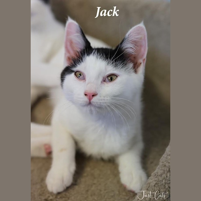 Photo of Jack