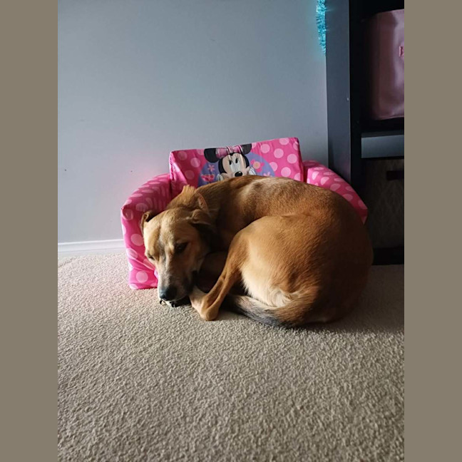 Photo of Banjo Kazooie