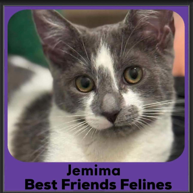 Photo of Jemima 