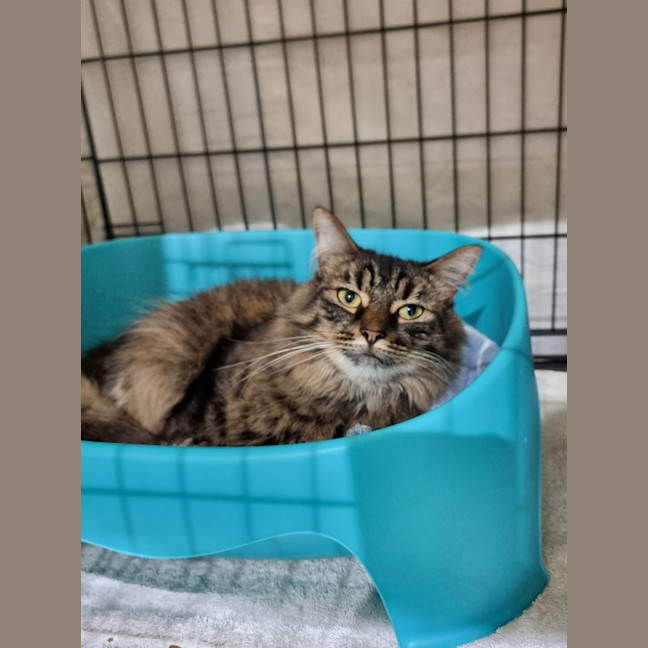 Photo of Storm