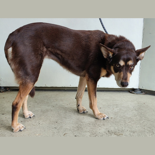 Photo of Annie