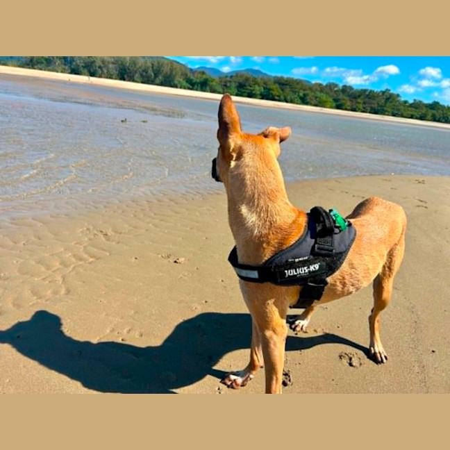 Photo of Nombu