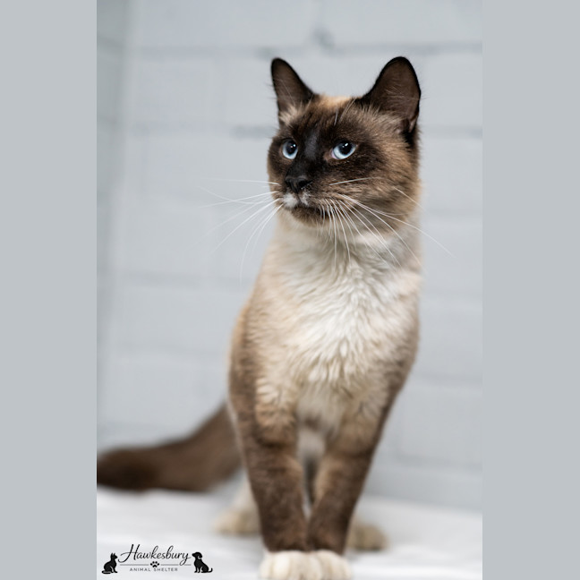 Photo of Sammy