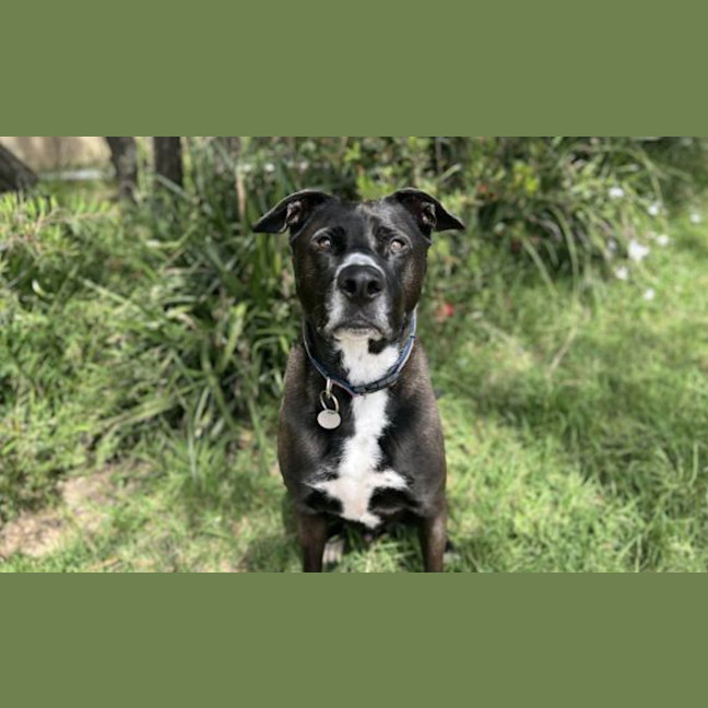 Photo of Arthur