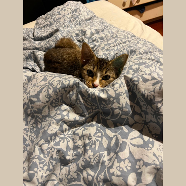 Photo of Mina