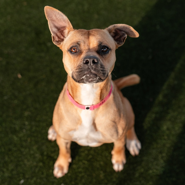 Photo of Lola Imp 1582