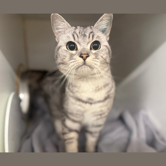 Photo of Sylvie
