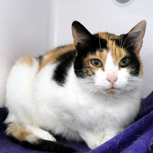 Photo of Beryl Sta014162