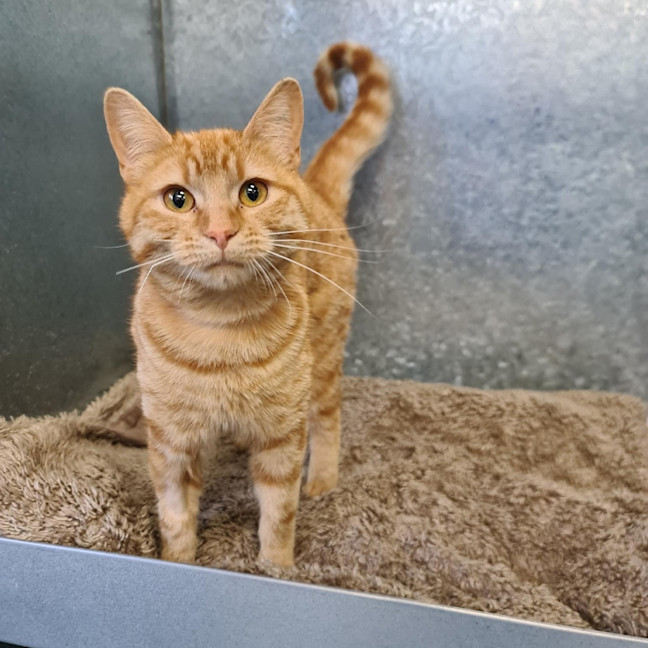 Photo of Aggie
