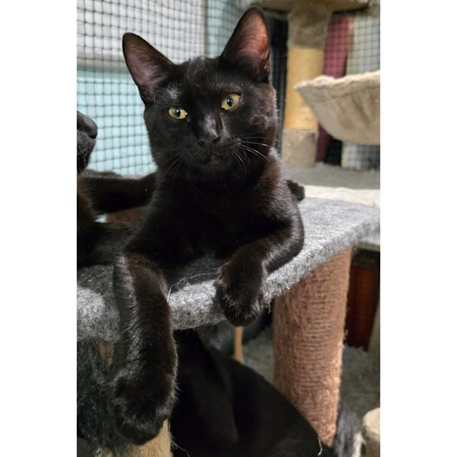 Photo of 13619   Sunny