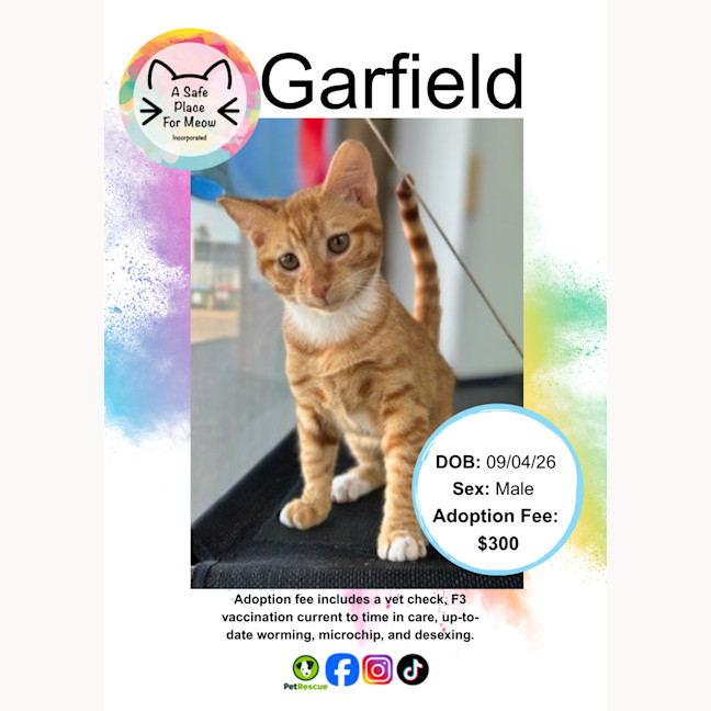 Photo of Garfield