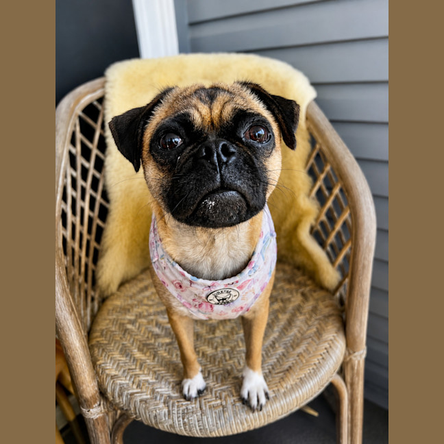 Photo of Gabby