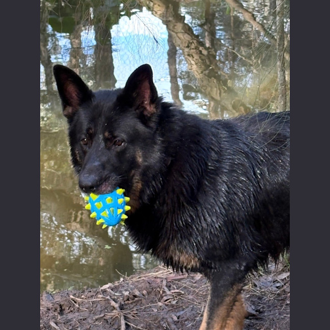 Photo of Max