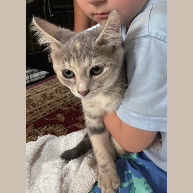 Photo of Dancer 🦌