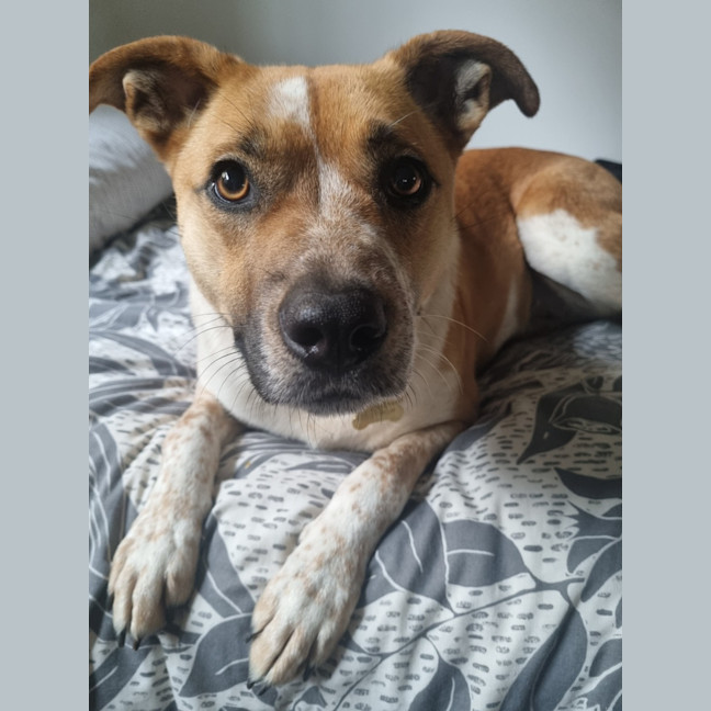 Photo of Sally Brown