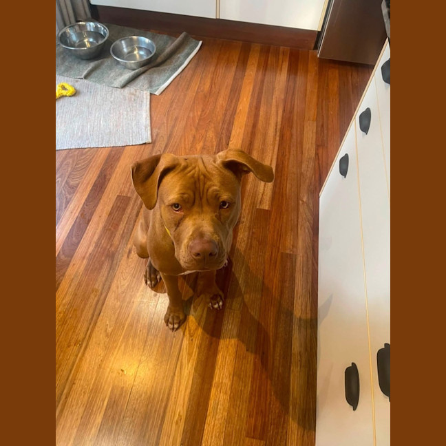 Photo of Tutu