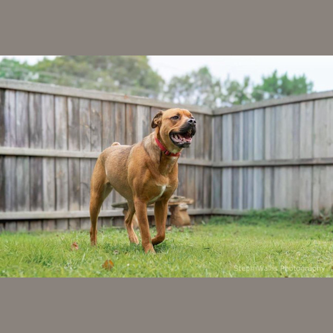 Photo of Skye Peggotty