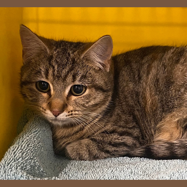 Photo of Tinkerbell