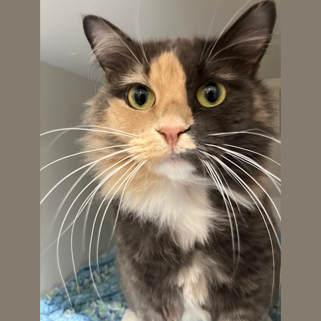 Photo of Madeline