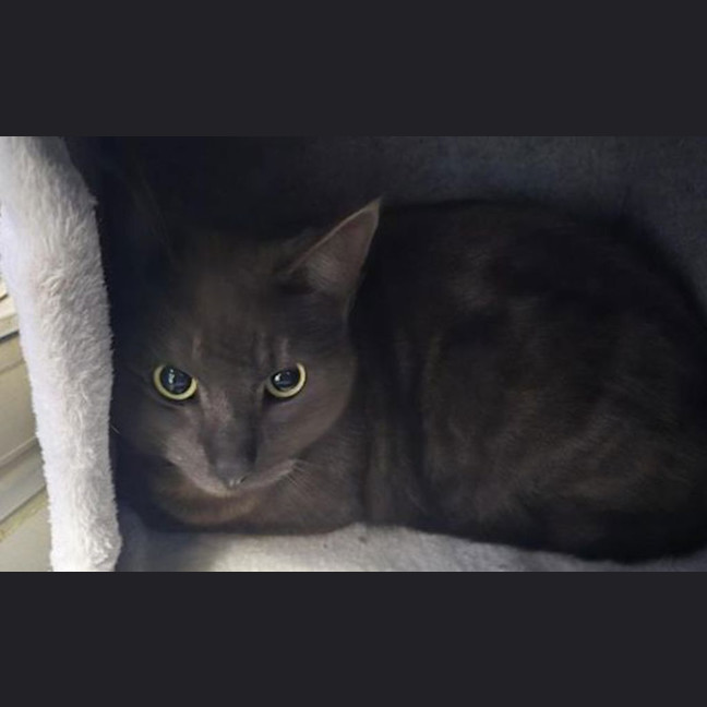 Photo of Ghost