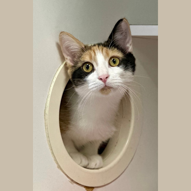 Photo of Elfie And Zorra 