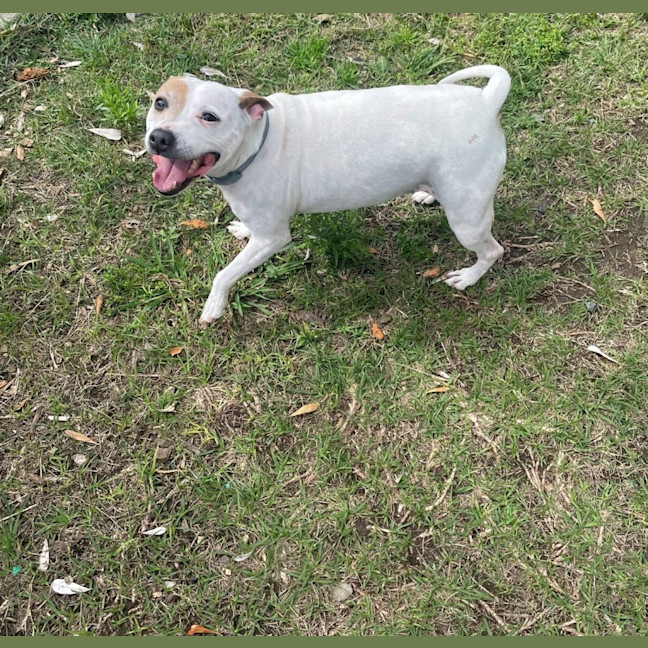 Photo of Molly (0976)