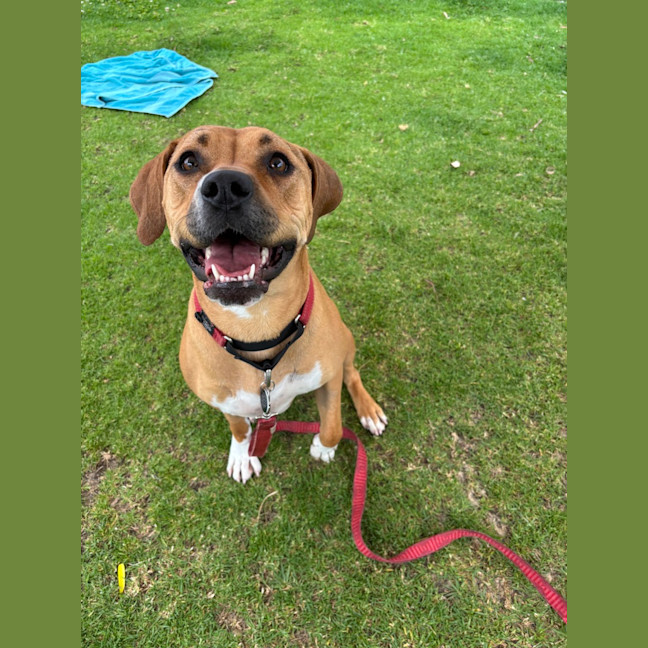 Photo of Bella