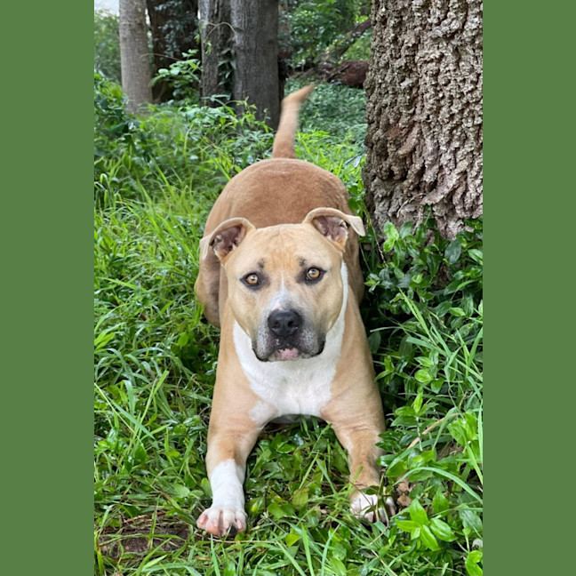 Photo of Sully
