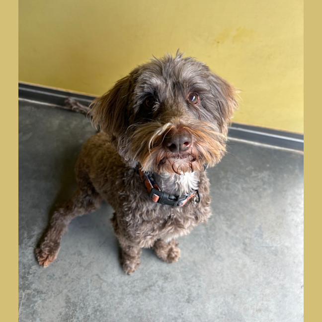 Photo of Max