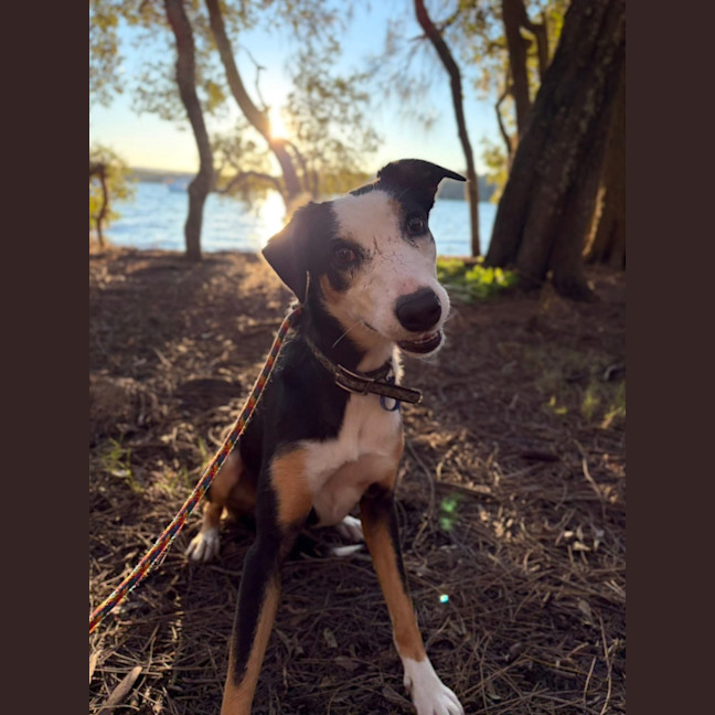 Photo of Ruby