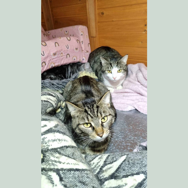 Photo of Spencer & Penny