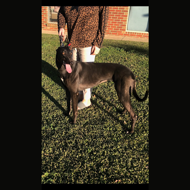Photo of Amy