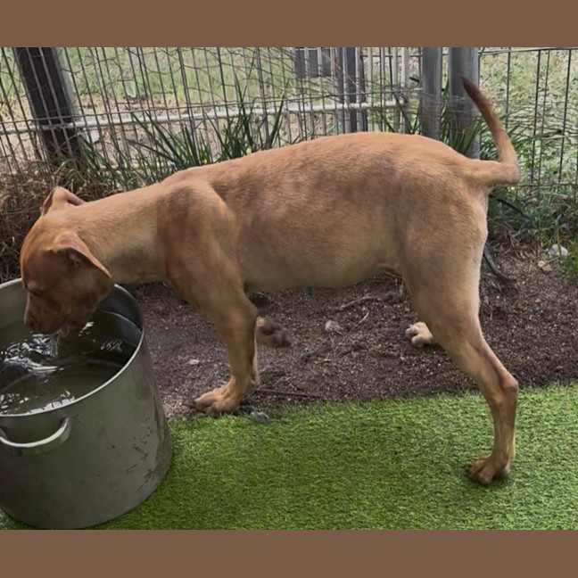 Photo of Sadie
