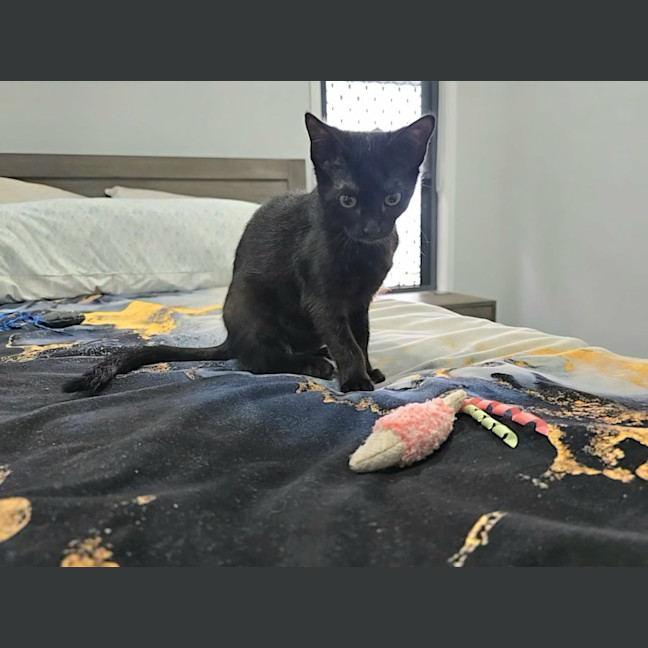 Photo of Libby