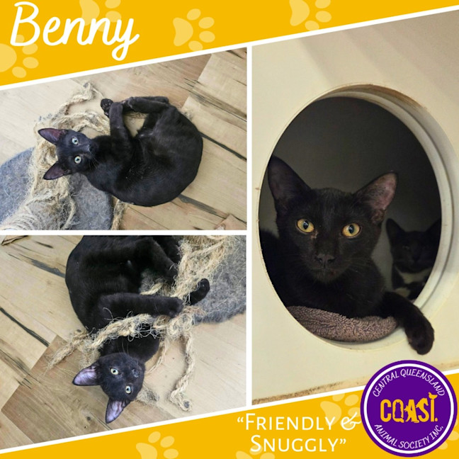 Photo of Benny