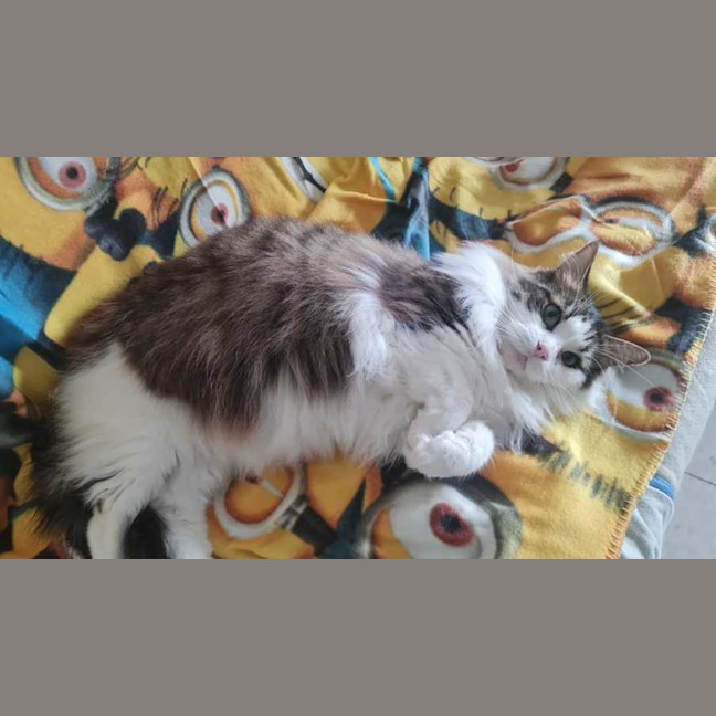 Photo of Zuzu