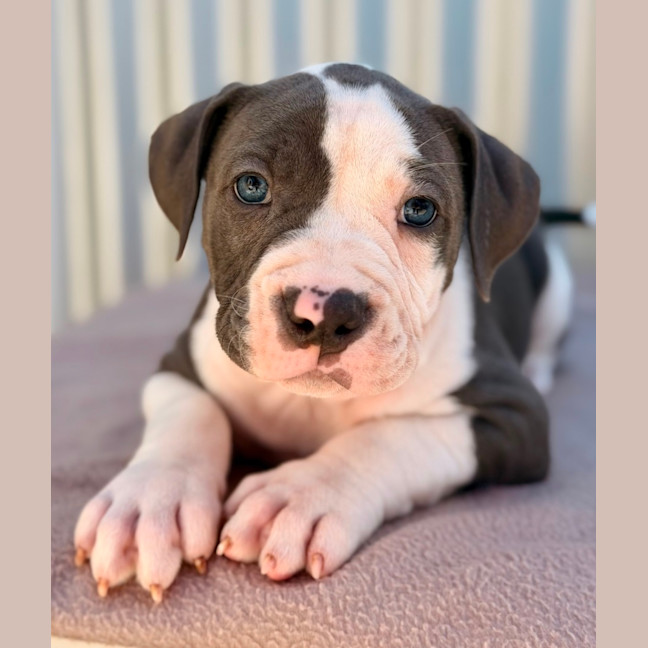 Photo of Aang