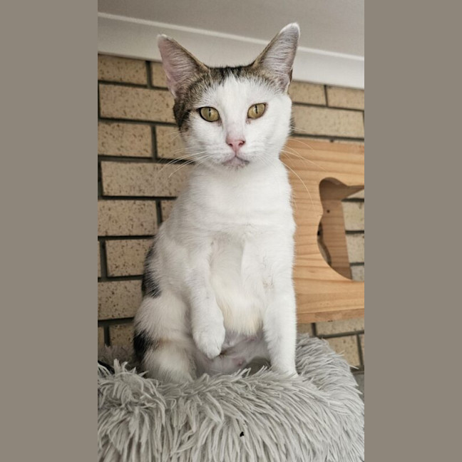 Photo of Hazel