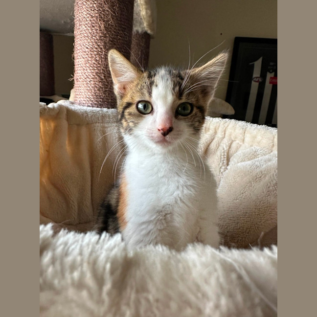 Photo of Little Leah