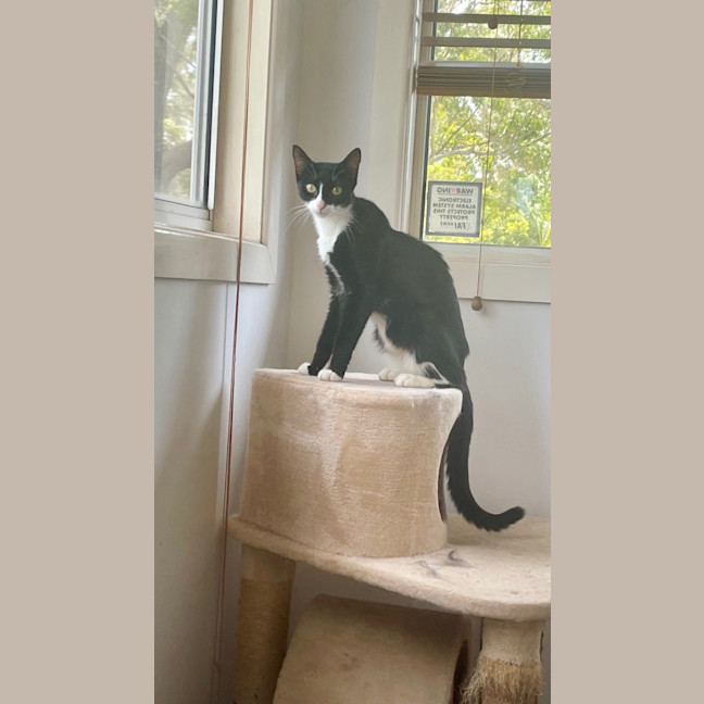 Photo of Carol (8905)