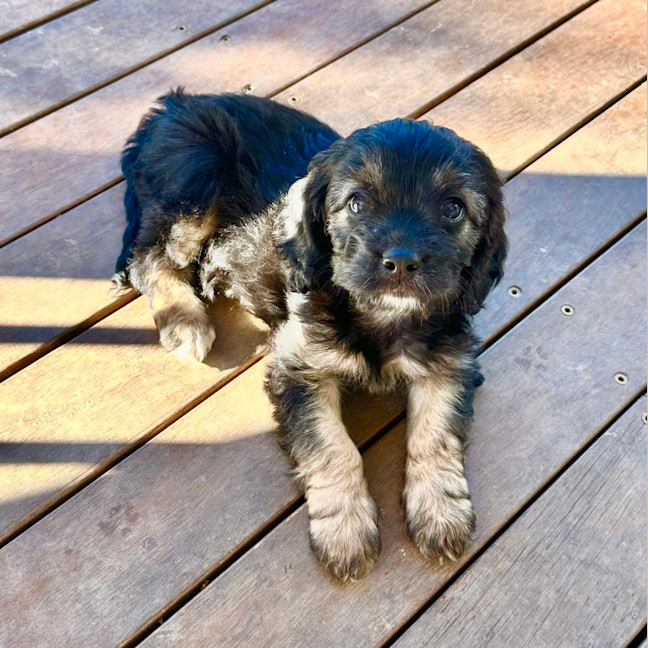Photo of Zara
