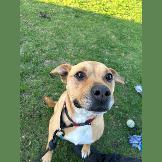 Photo of Zoe