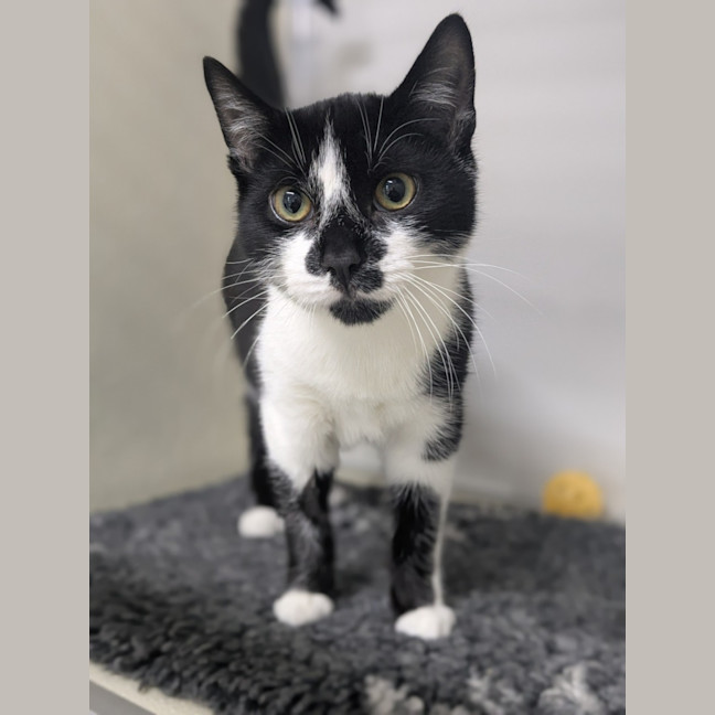 Photo of 🌵 Jeremiah 6268 🌵